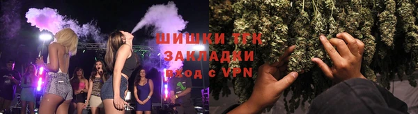 винт Богданович