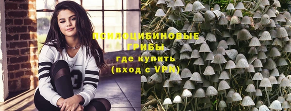 винт Богданович