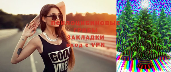 COCAINE Богородск
