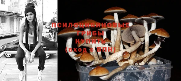 винт Богданович