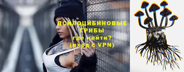 винт Богданович