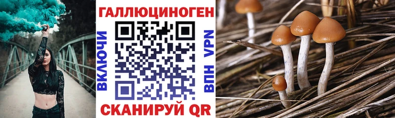 где купить наркоту  Трёхгорный  Псилоцибиновые грибы Magic Shrooms 